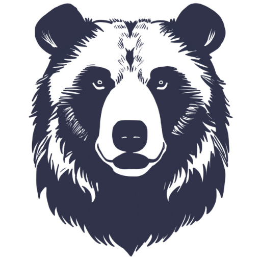 Oso Ecuador Atento