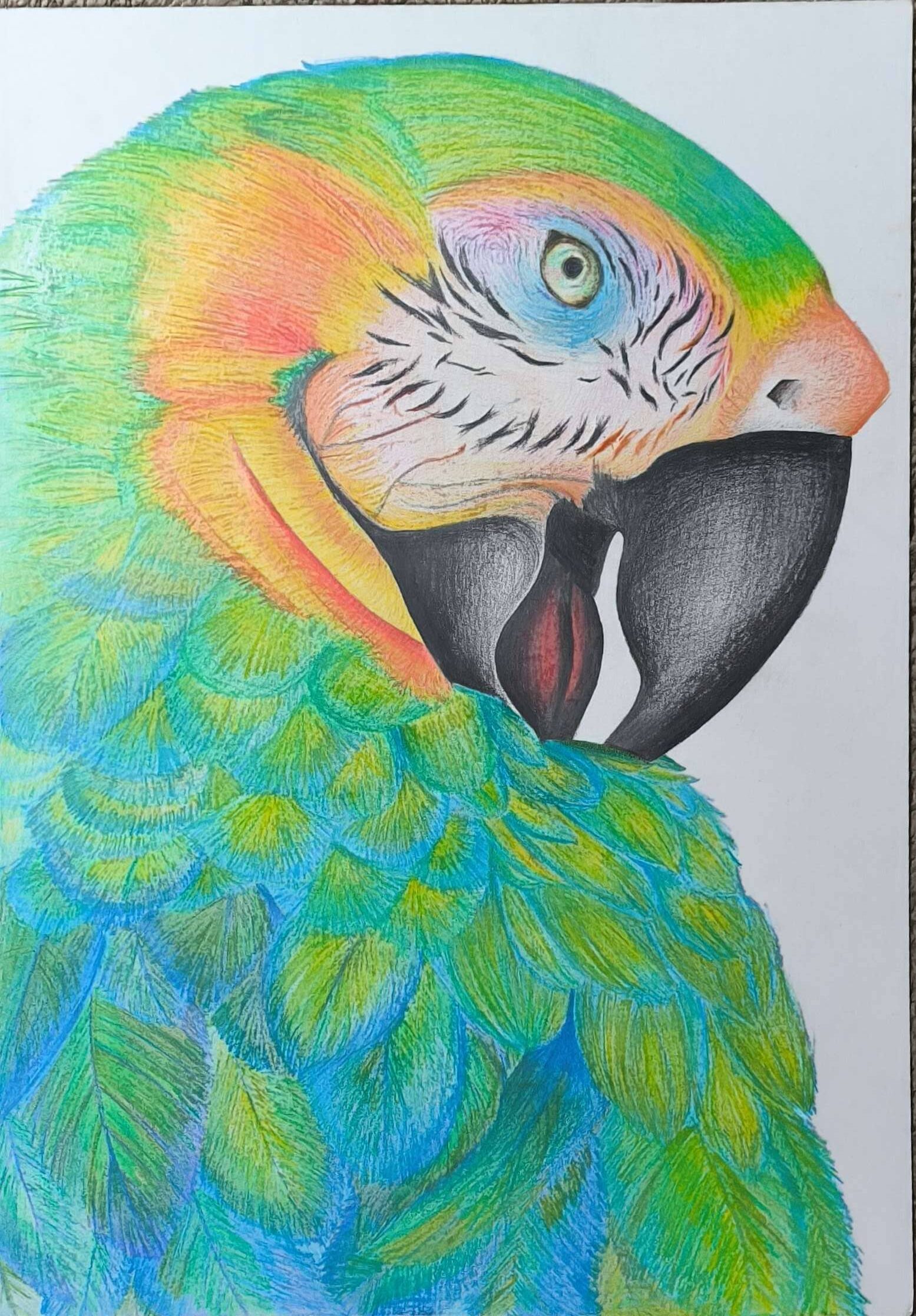 Dibujo de guacamayo verde